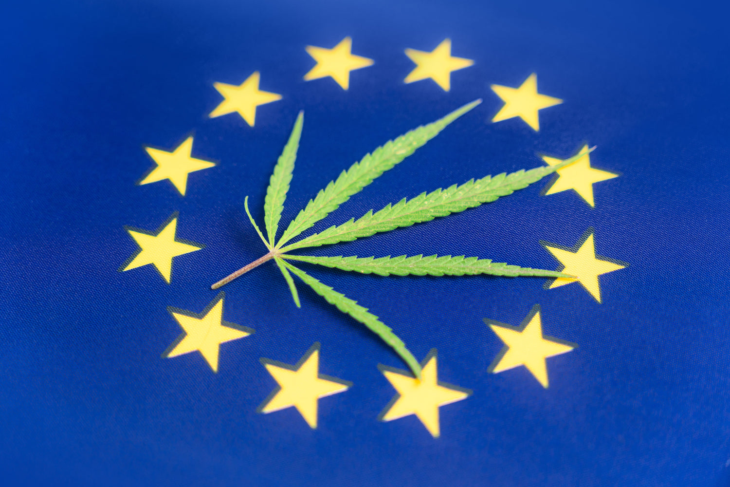 Hanfblatt auf eine EU-Flagge