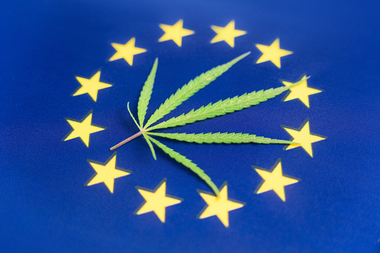 Hanfblatt auf eine EU-Flagge