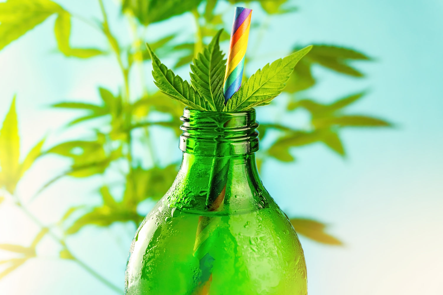 THC-Shots: Medizinisches Cannabis zum Trinken