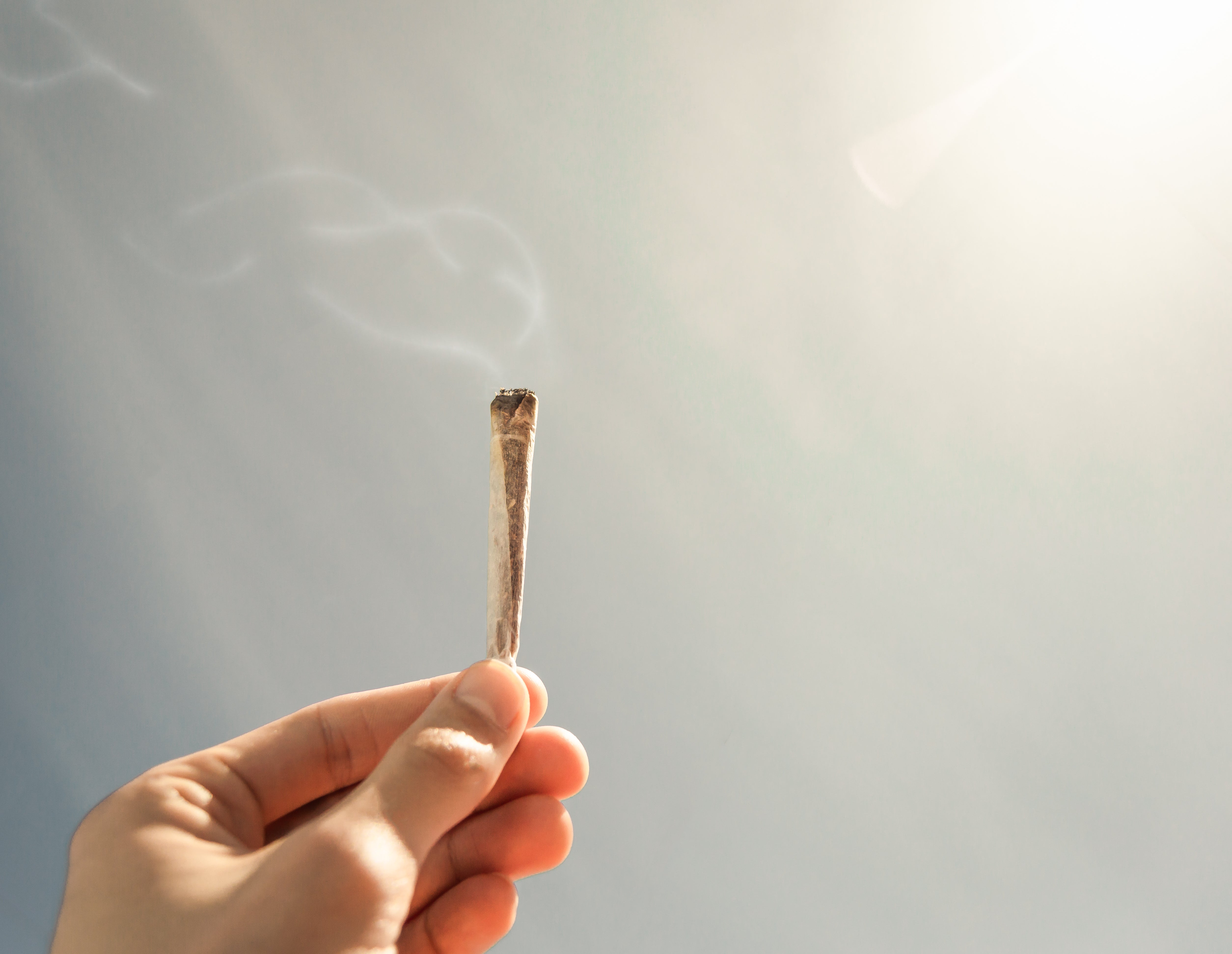 THC-Abbau: Cannabis bleibt länger im Körper als viele denken