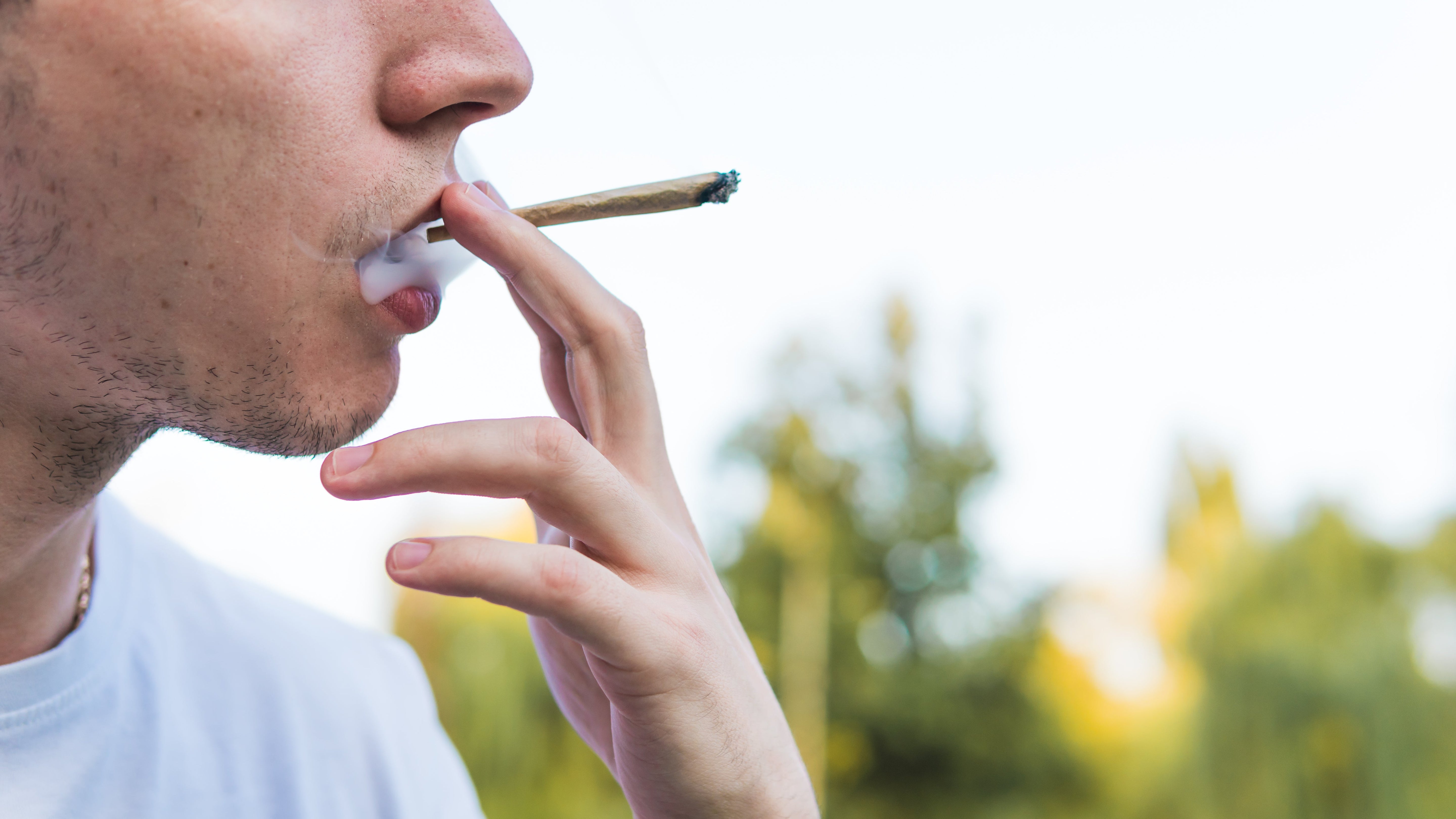 Cannabis, Dopamin und das Belohnungssystem im Gehirn