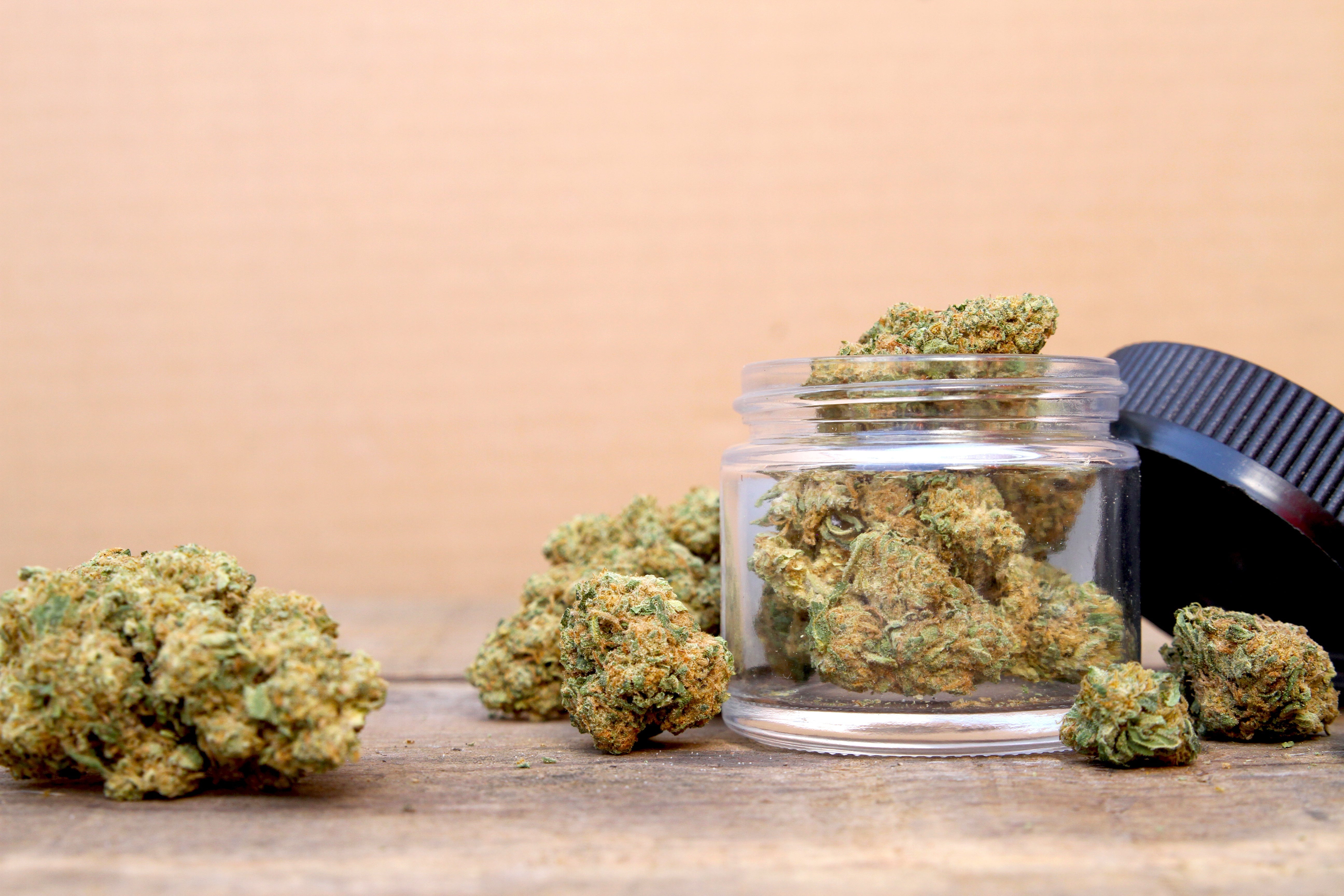 Das Endocannabinoid-System einfach erklärt