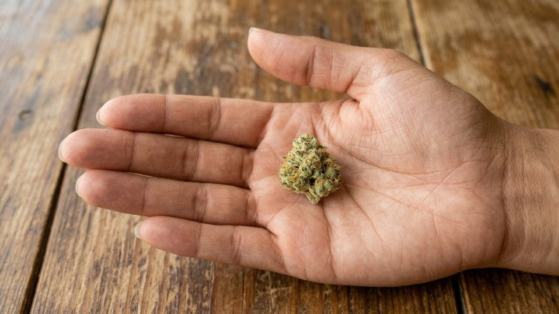 Cannabis-Popcorn-Buds: Warum manche Blüten kleiner bleiben
