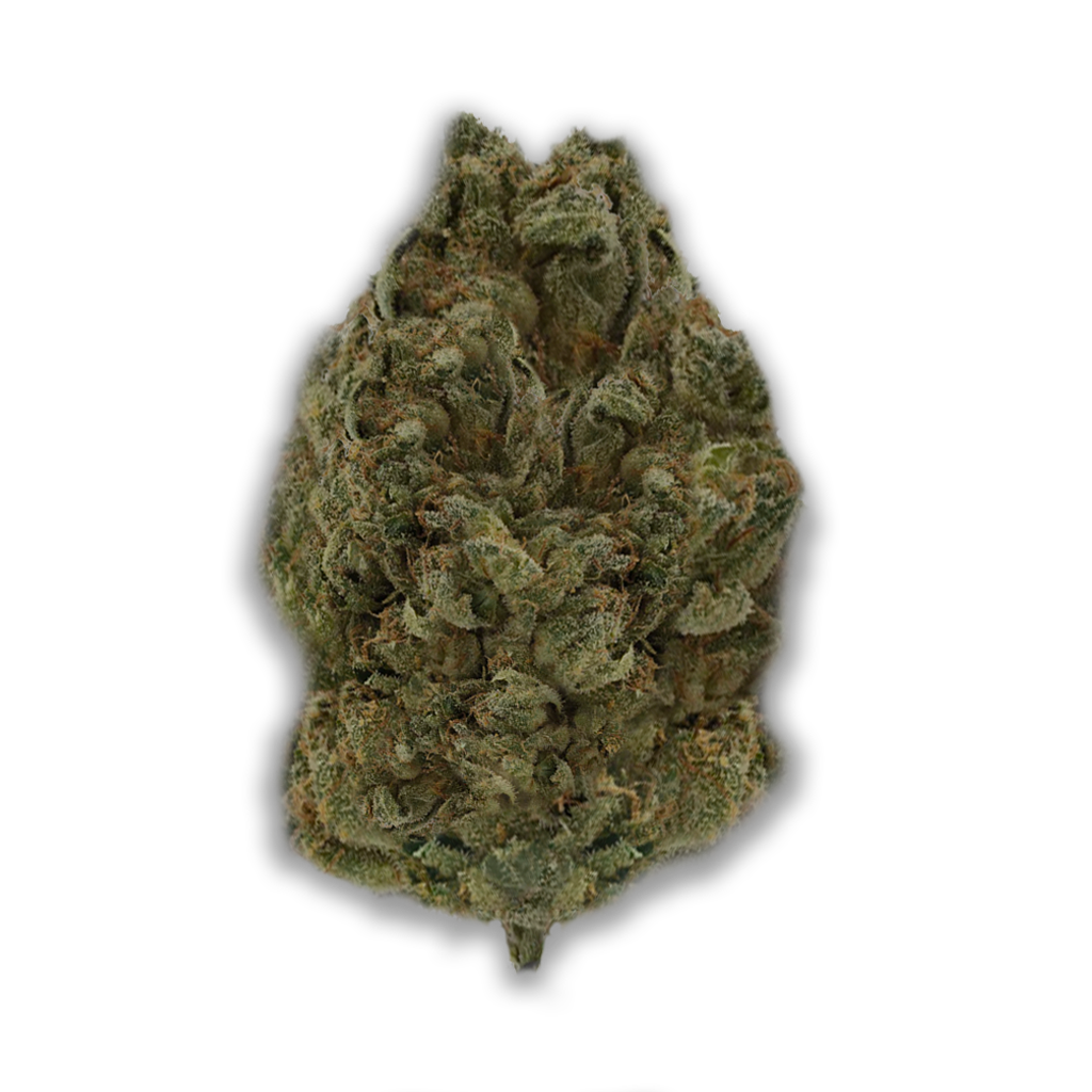 420 Evolution 27/1 CA BUL: Bucket List