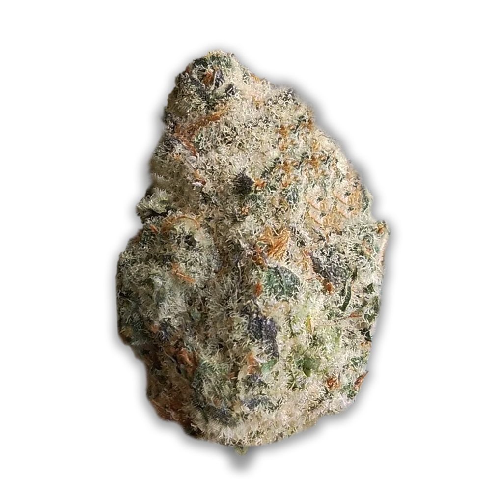 All Nations TT 25/1: Tropic Thunder