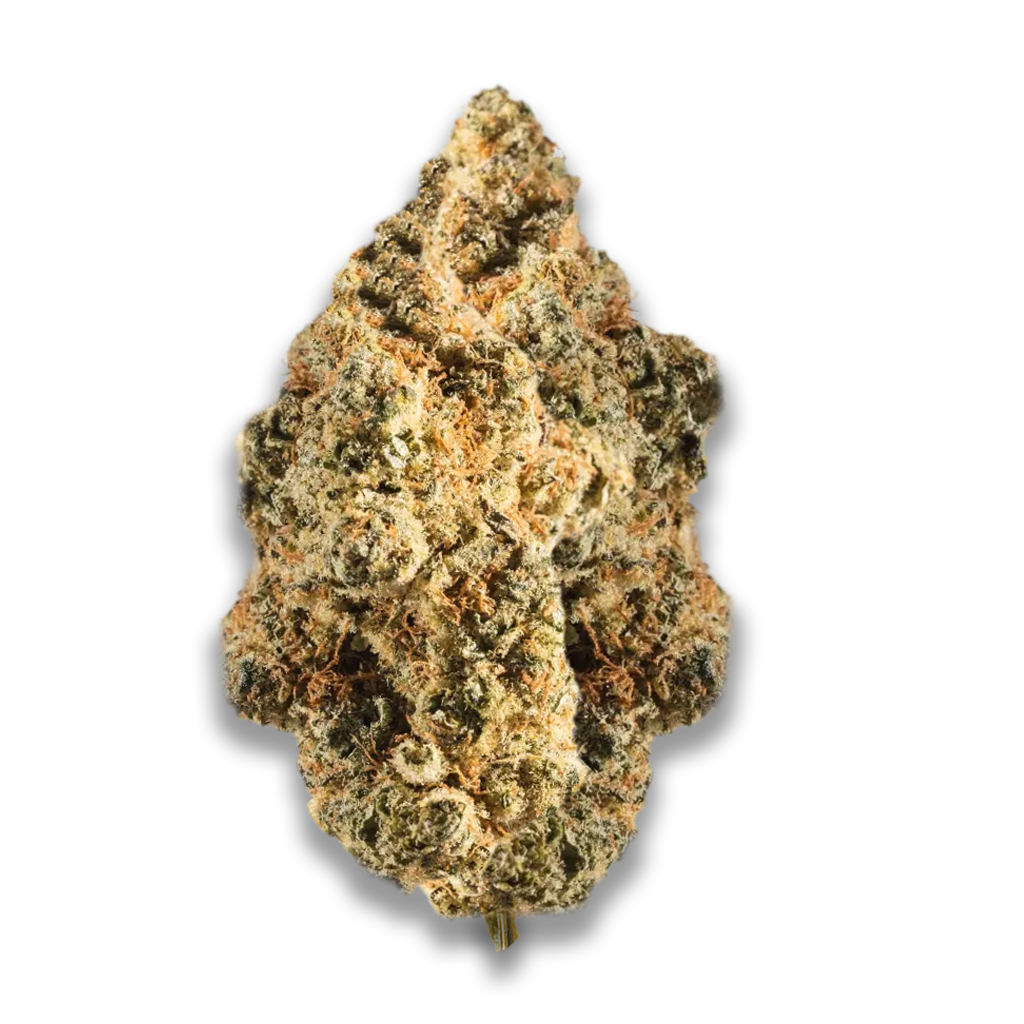 Cannabis flos 20/1 CSF Ku. Bashengo