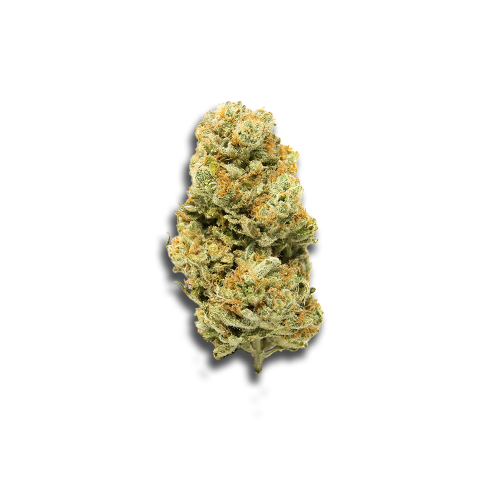 Remexian 20/1 Gjy Fco Frosted Cookies