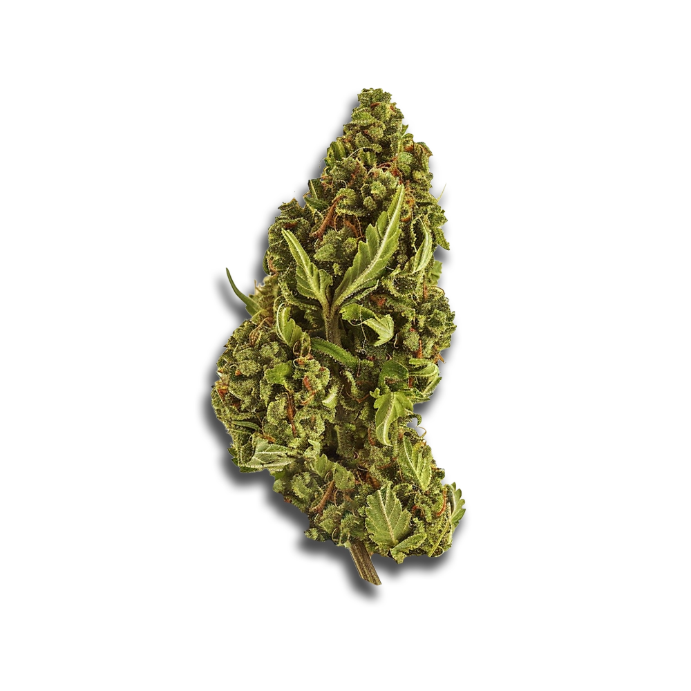 Peace Naturals 33/1 Sl Sonic Lemon Fuel