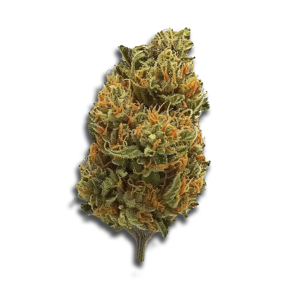 Cannamedical Indica Classic Sf Royal Berry