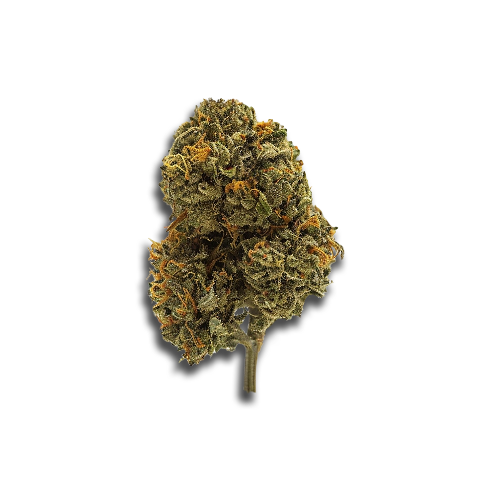 CRQSH GKY 25/1: Gas Monkey