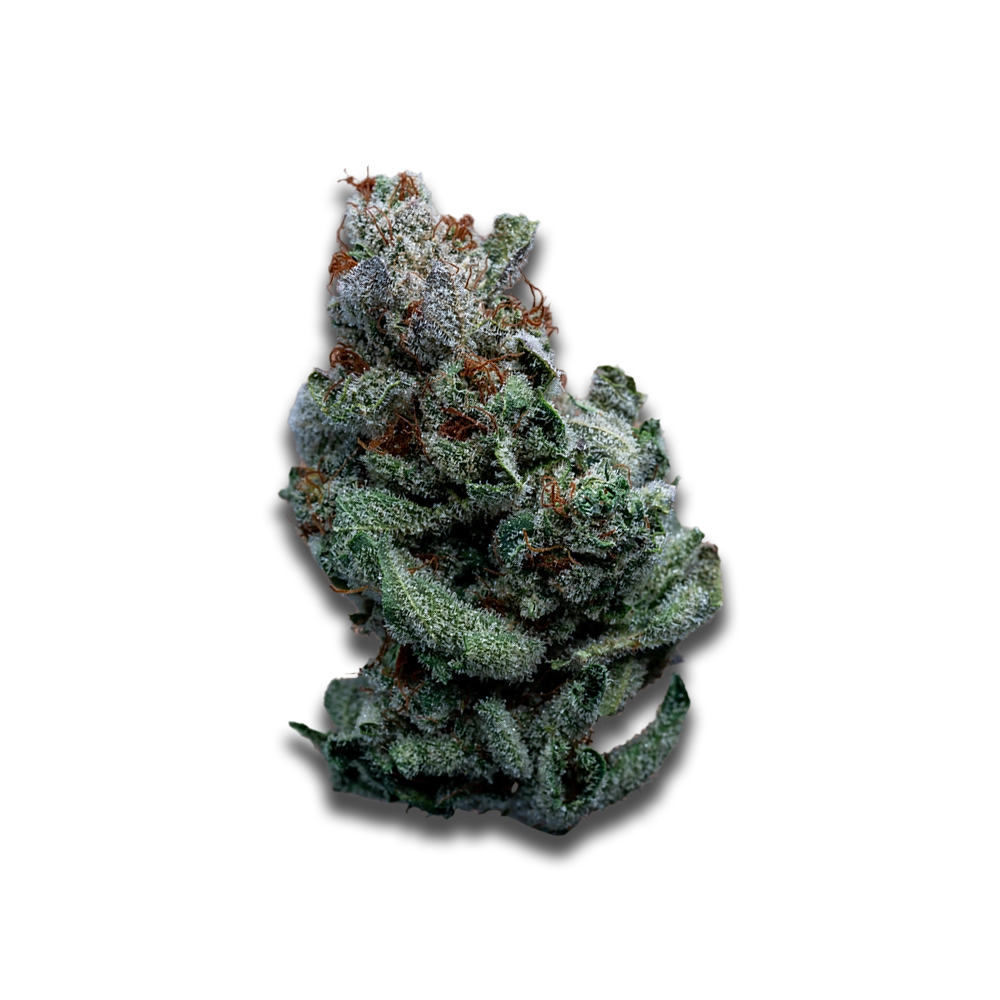 Cannabis flos 24/1 CZE Ku. Platinum Garlic