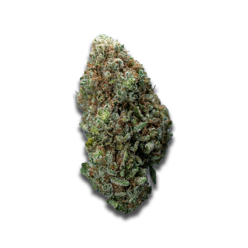 Cannabis flos 28/1 CSF Ku. Solpina Magic
