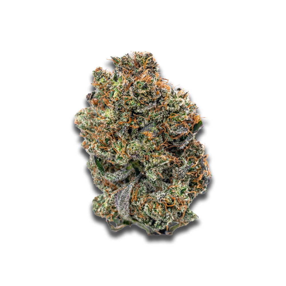 Cannamedical Hybrid Ultimate SF: Afghan Bubba Kush