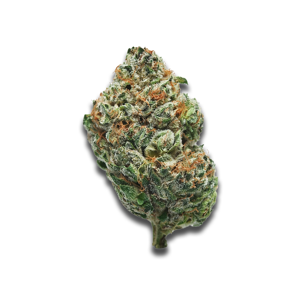 Imc Thc30 T03 Gg4 Gorilla Glue