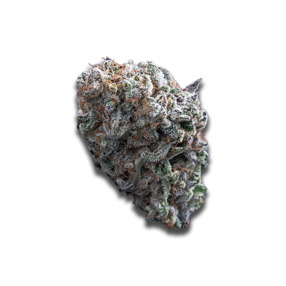 Avaay Signature 28/1 WB: Waffle Bites