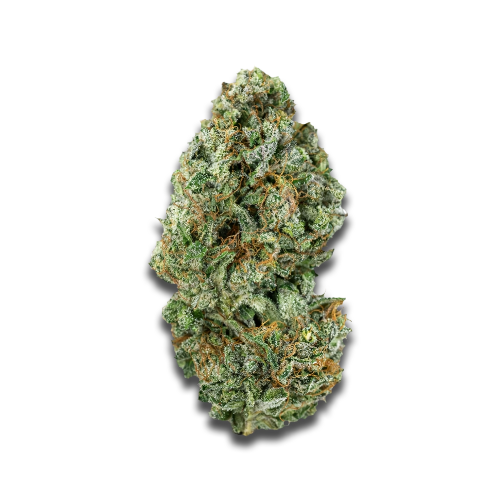 Cannabis flos 28/1 CSF KU. Cape Venin