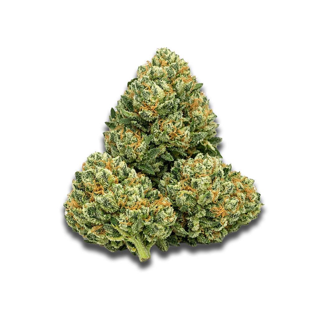 Siggis Pmnz 28:01 Siggis Pfefferminze