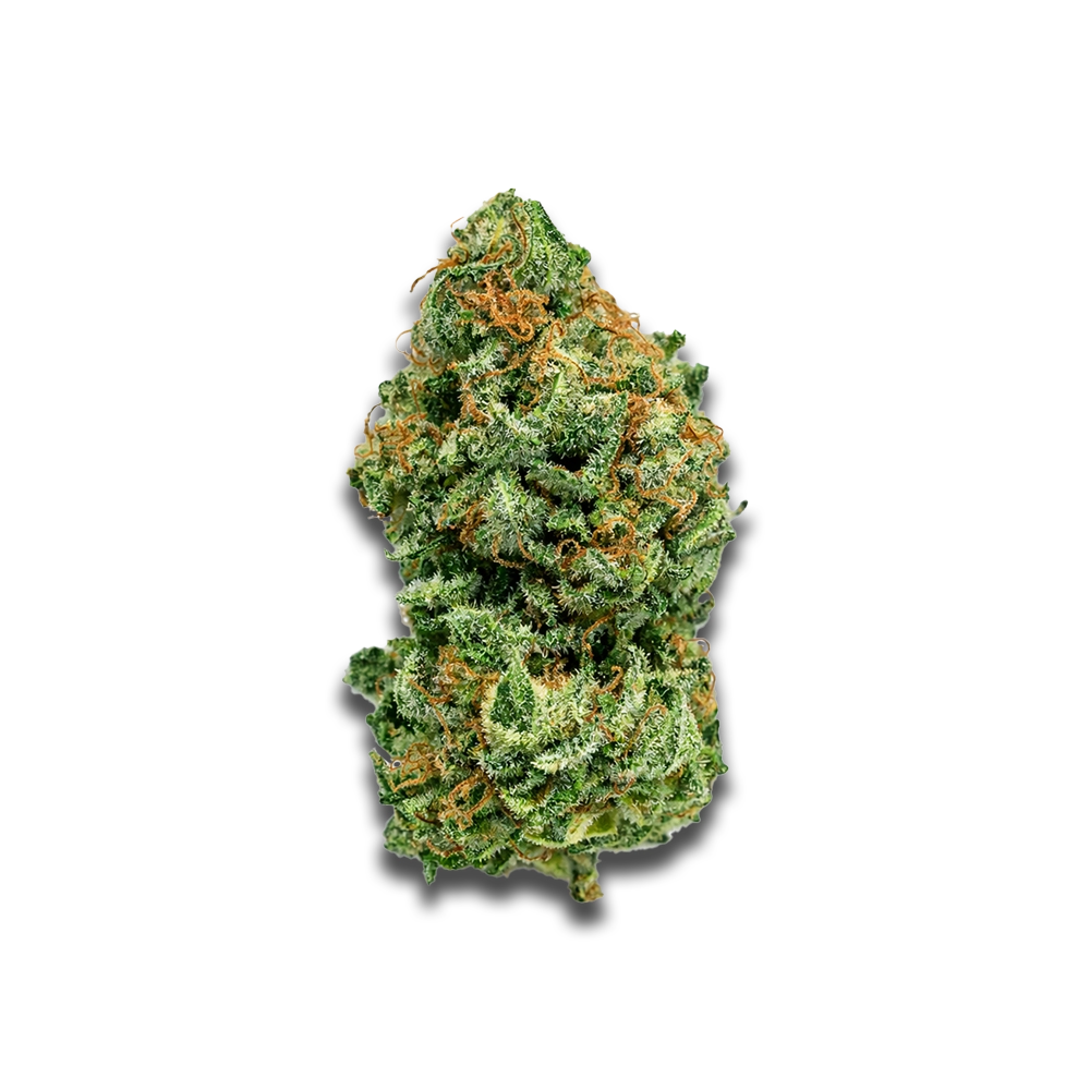 Social Choice! 18/1 FLX MTS: Manantiales