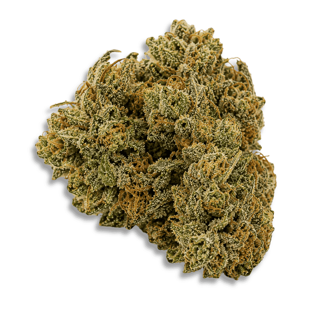 Wildlife 32 Cc Can Sour Cheat Code