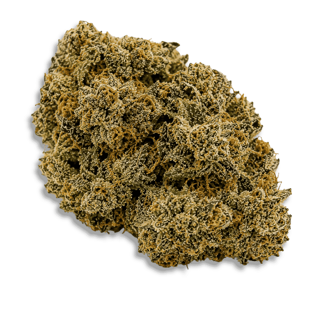 Remexian 30/1 Civ Bob Booberry Cookies