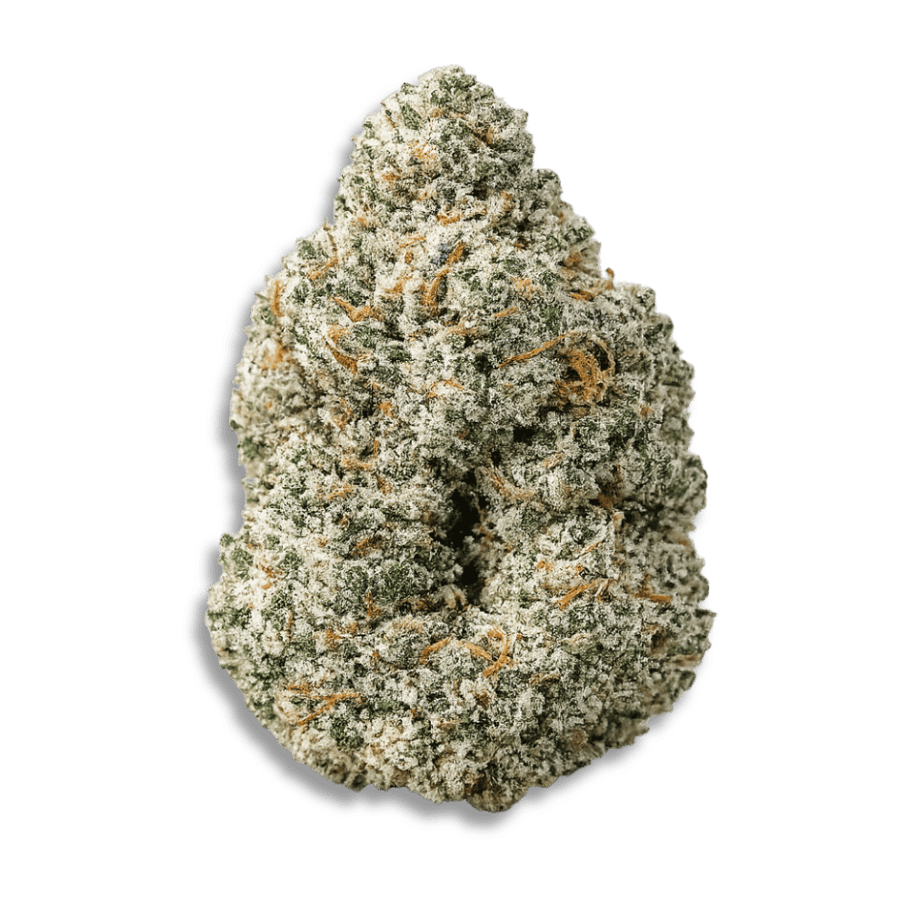 Slouu 33/1 Coz Ca Cookies Oz
