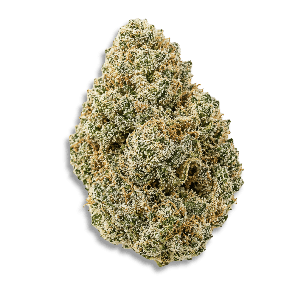 Buuo 24/1 Sblm Sour Blue Lemon