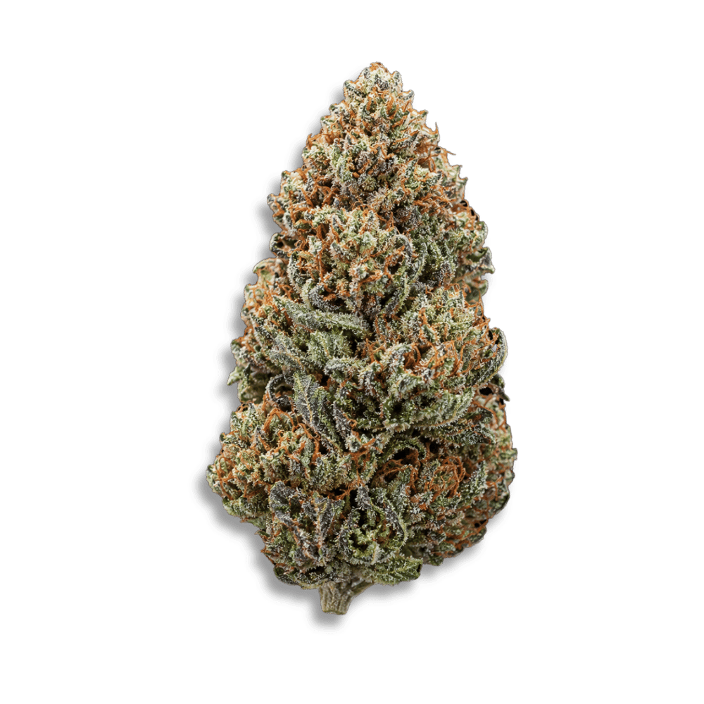 Demecan Cv Regular Drop Banana Daddy