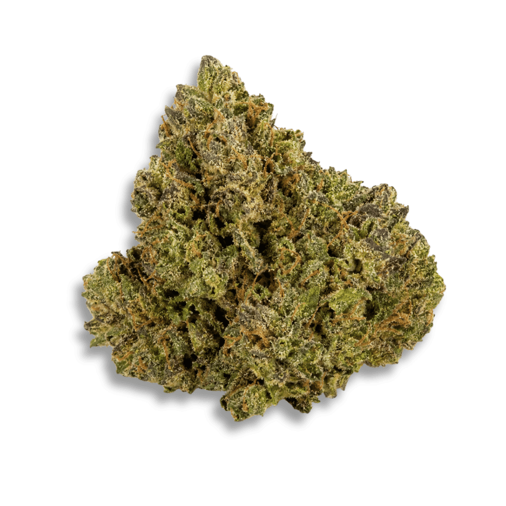 Eufloria 33/1 Lba La Baker