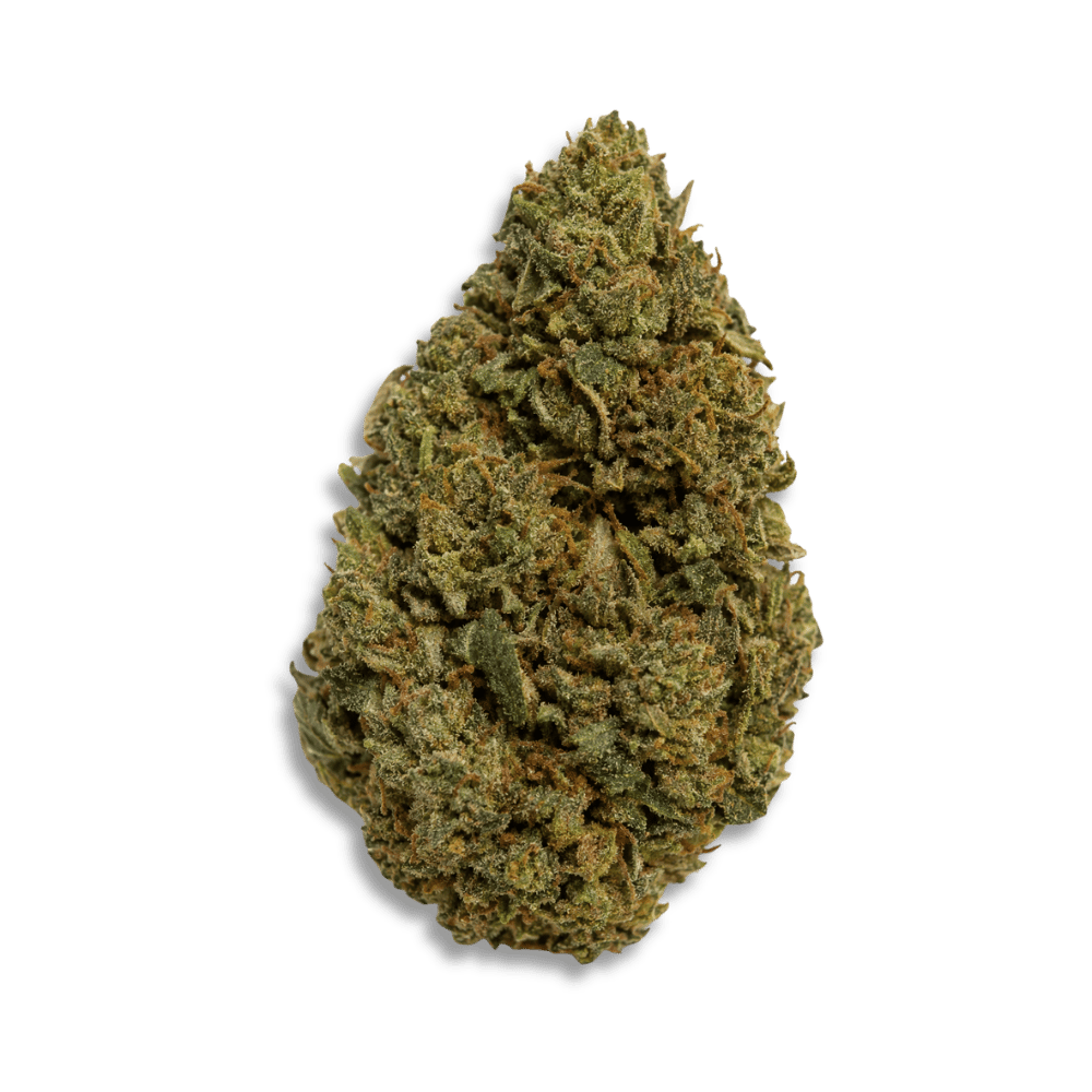Slouu 22/1 Agm Ca Sbh Strawberry Haze