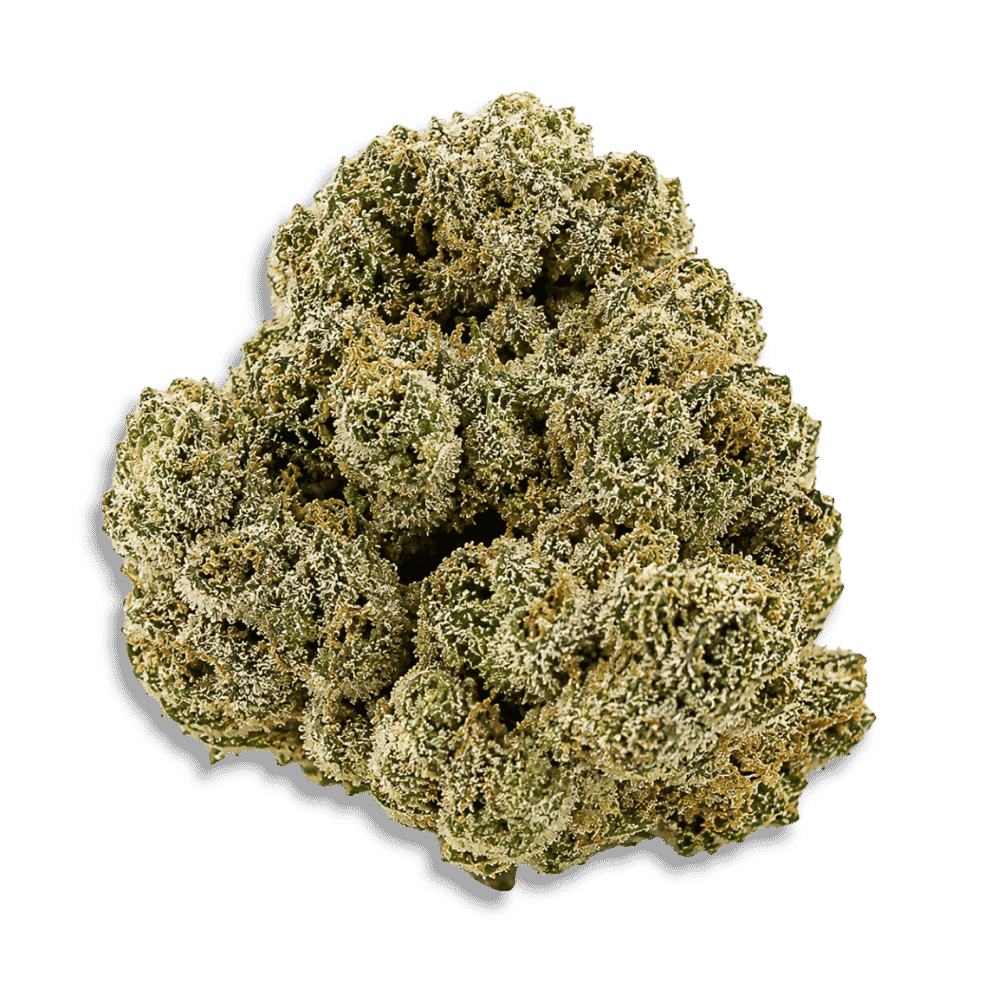 Einzelne Cannabisblüte mit natürlicher, unregelmäßiger Struktur.
