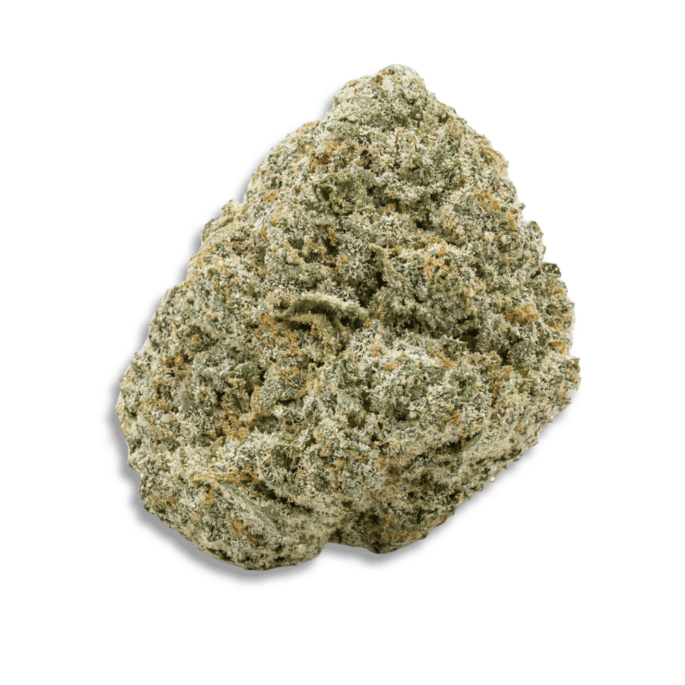 Bc Green Sck 27/1 Scotti´S Cake