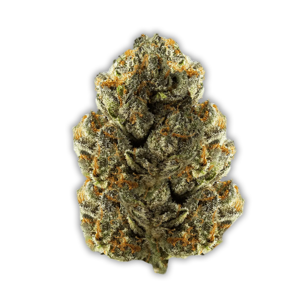 CM 28/1 Diamond: Diamond Mints