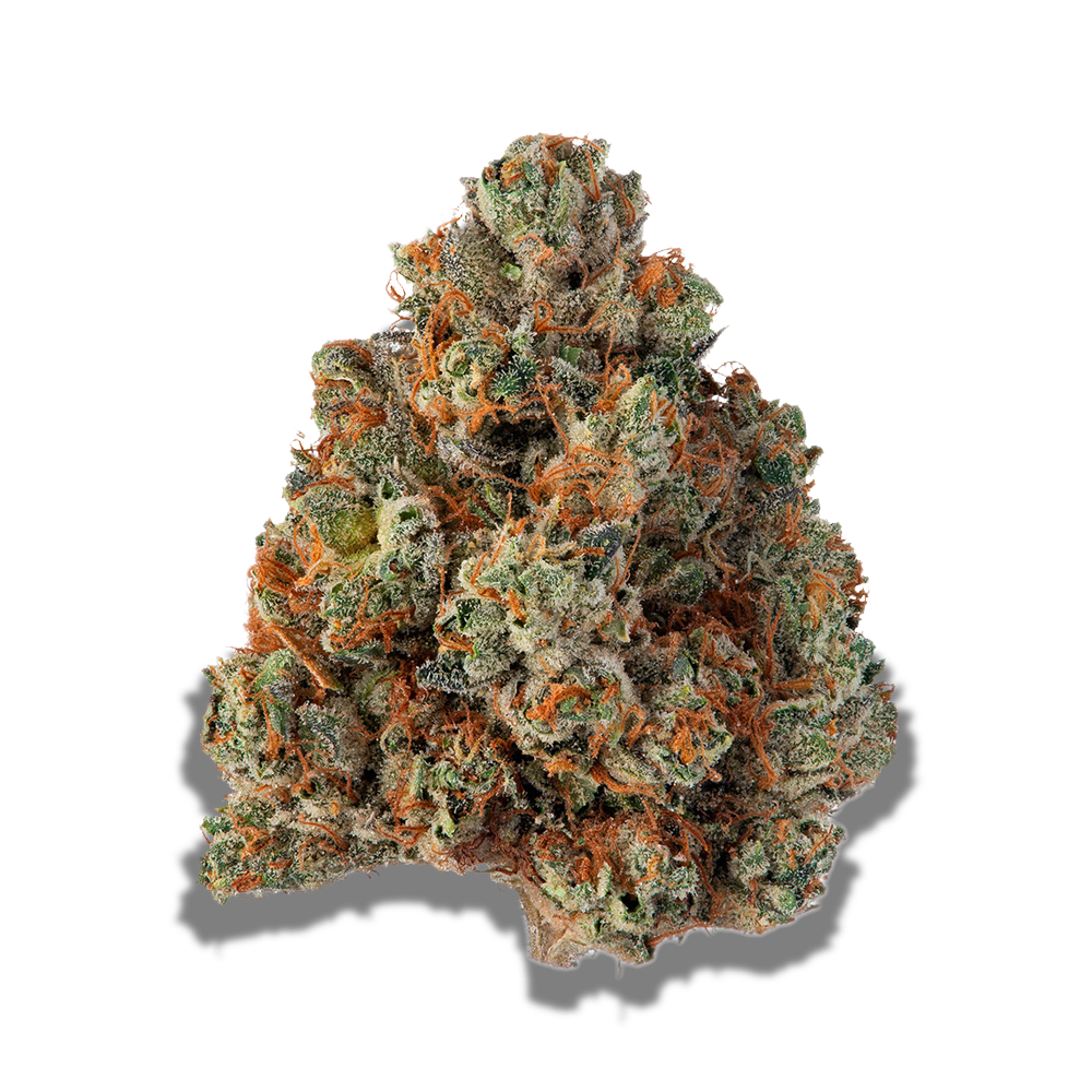 Avaay Khalifa 32/1 KK: Khalifa Kush