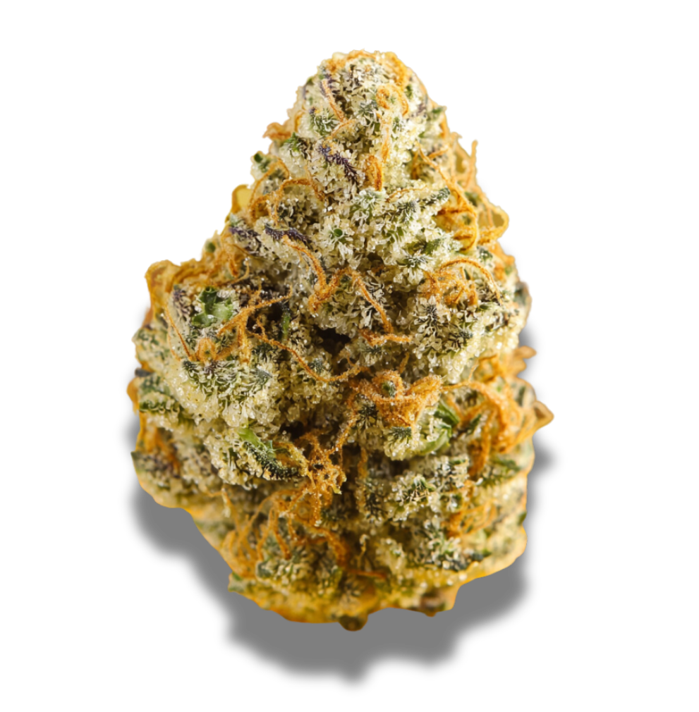 420 Evolution 27/1 CA MMI: Miracle Mints