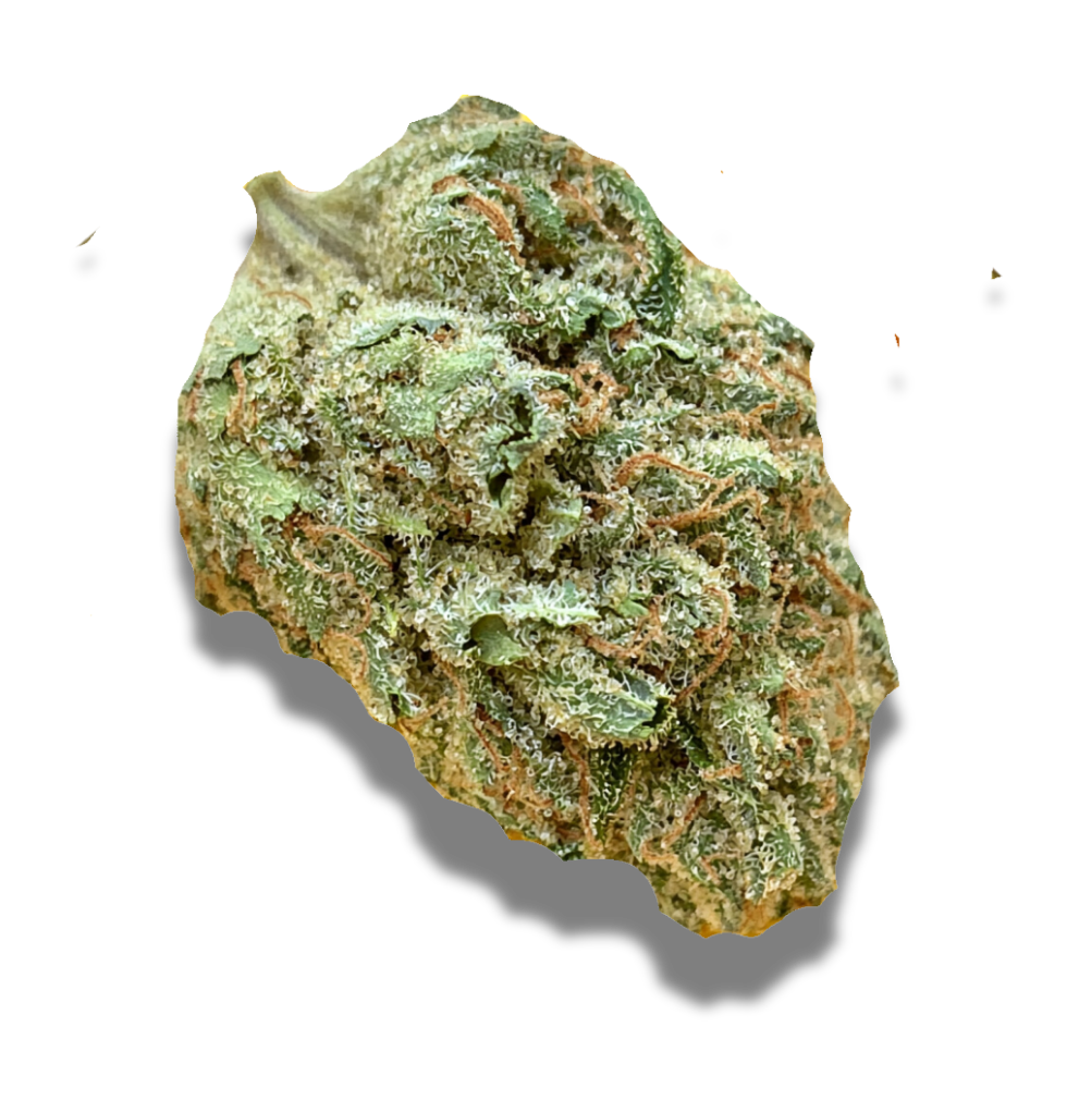 Grünhorn GG 22/1: Gorilla Glue