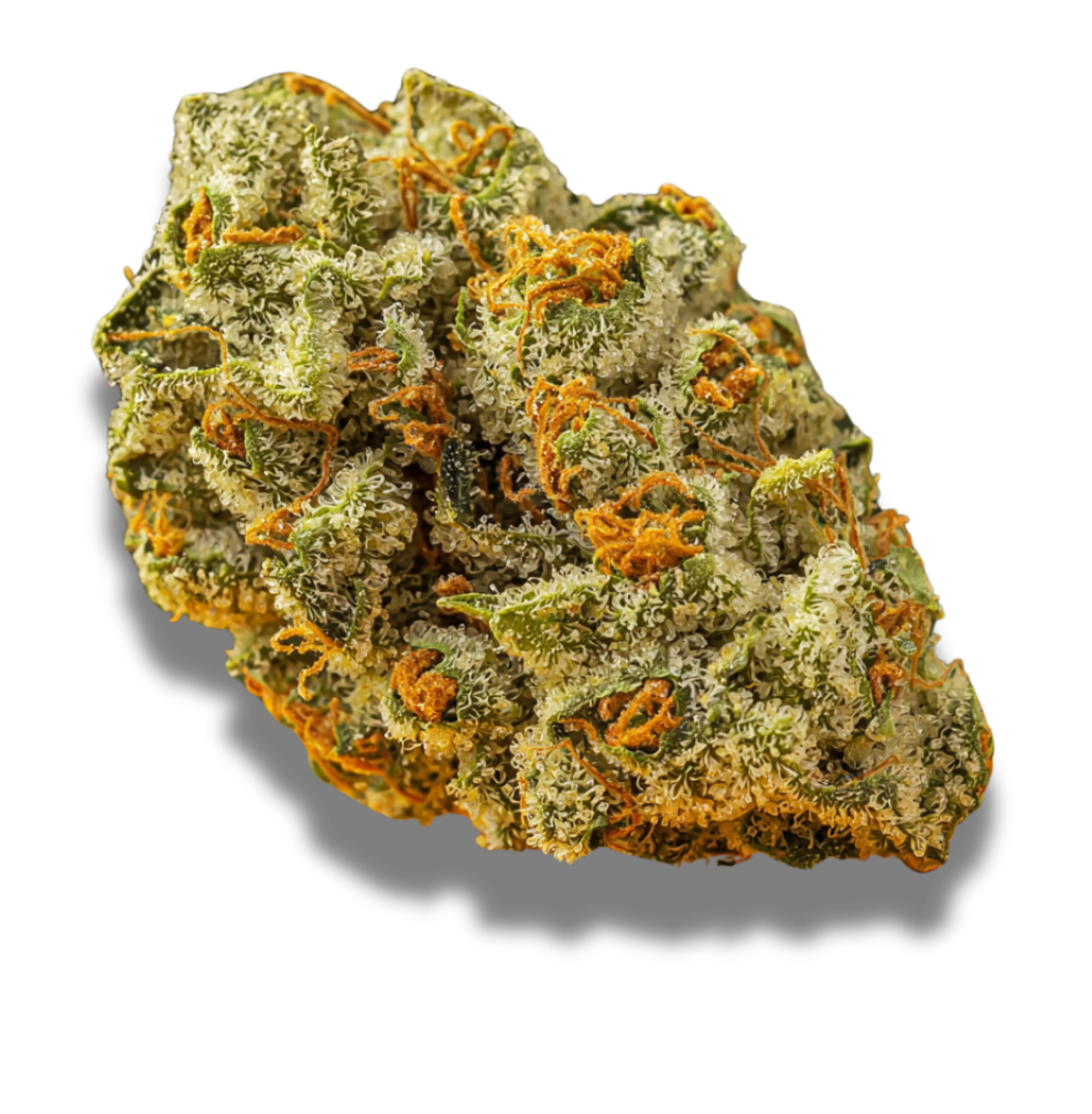 Soma OG 30/1 FG: Ghost OG