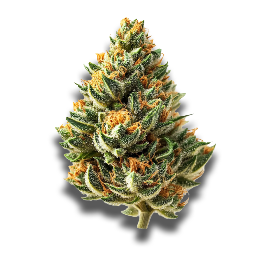 CNBS FRF 21/1: Fire Fruit
