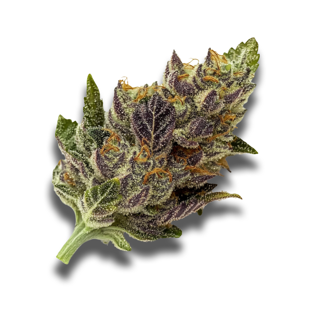 Avaay 24/1 AHC: Amnesia Haze Cake