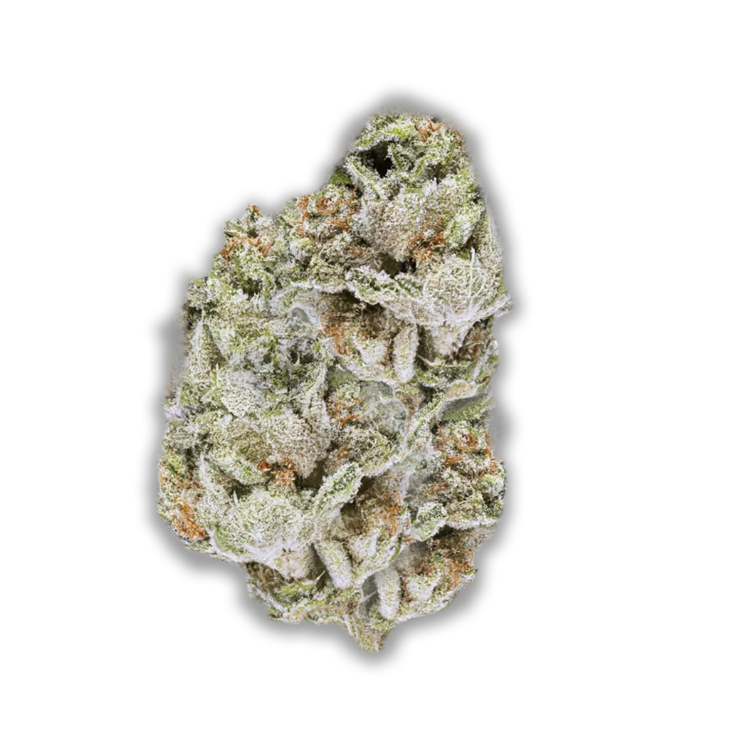 Cannabis flos 18/1 LS Ku. Exodus Cheese Canify