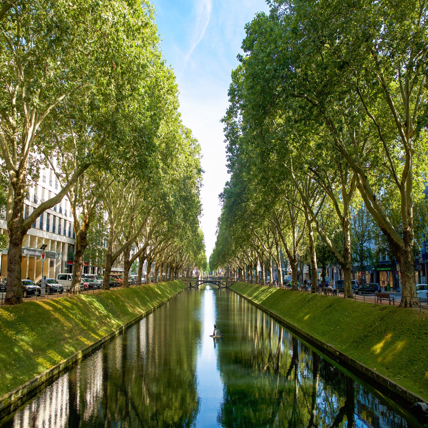 Duesseldorf Koenigsallee