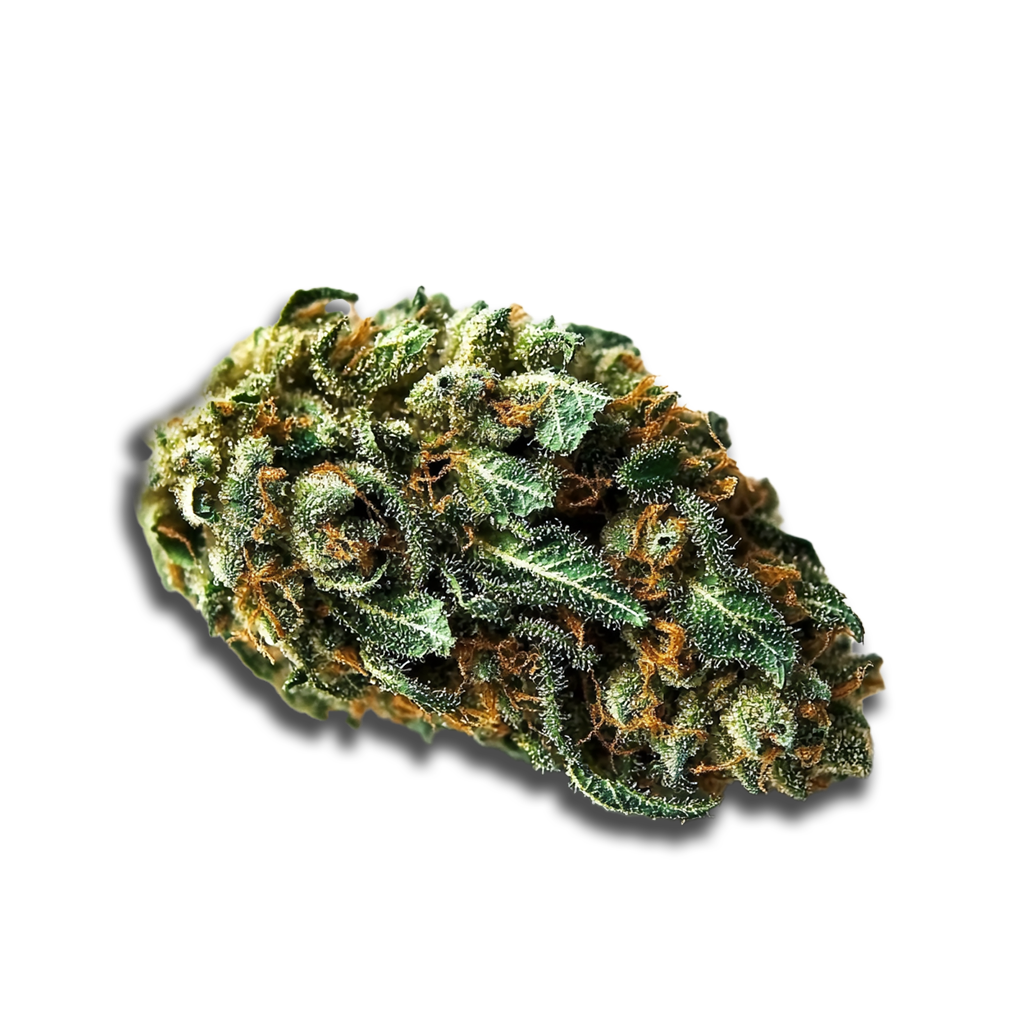 Craft Botanics 27/1 White Runtz