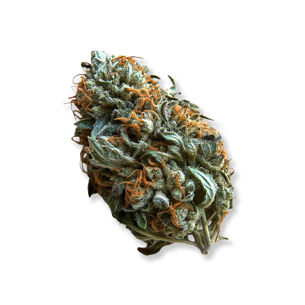 Demecan Core Pulse: Zativa
