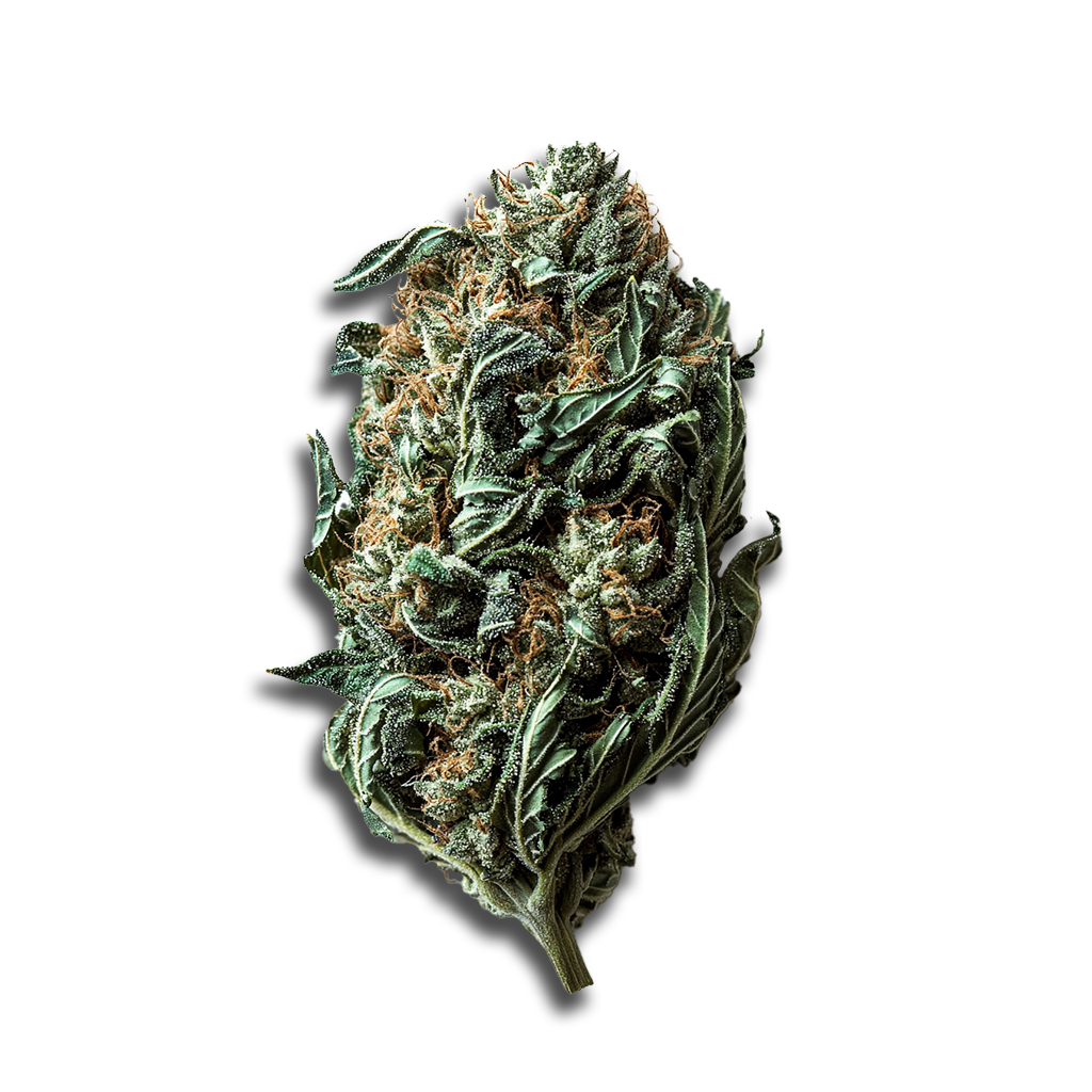 Craft Botanics 27/1 Gelonade