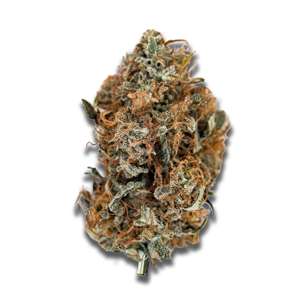 Cannabis flos 23/1 CND Pink Kush Canify