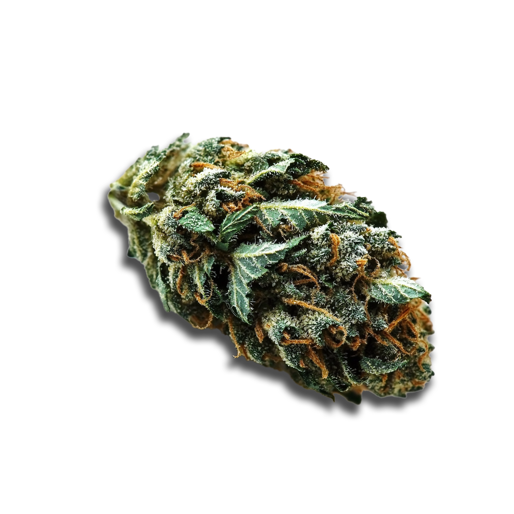 Cannabis flos 18/1 LS Ku. Durban Sky Canify
