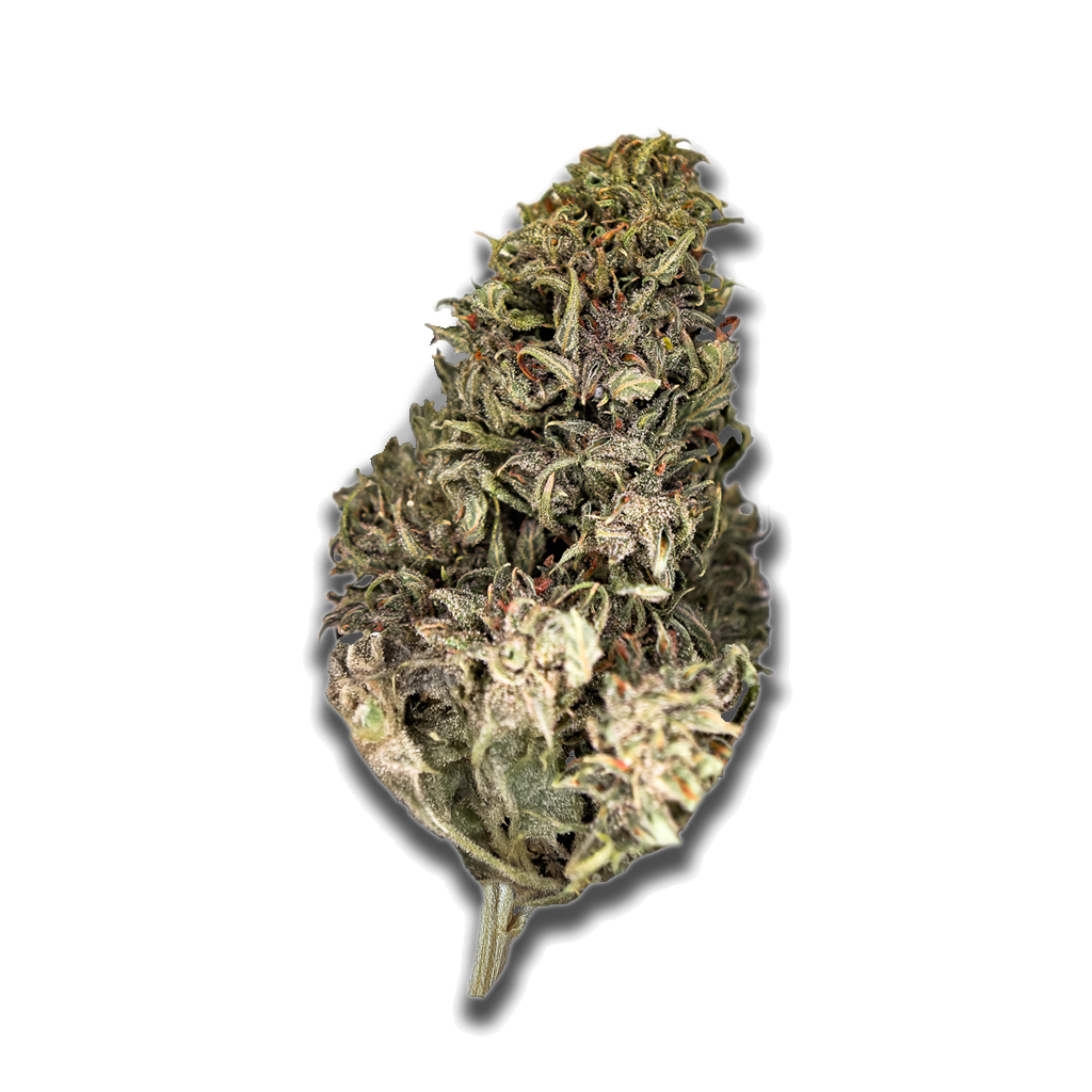 BC Green 27/1 HGH: HGH