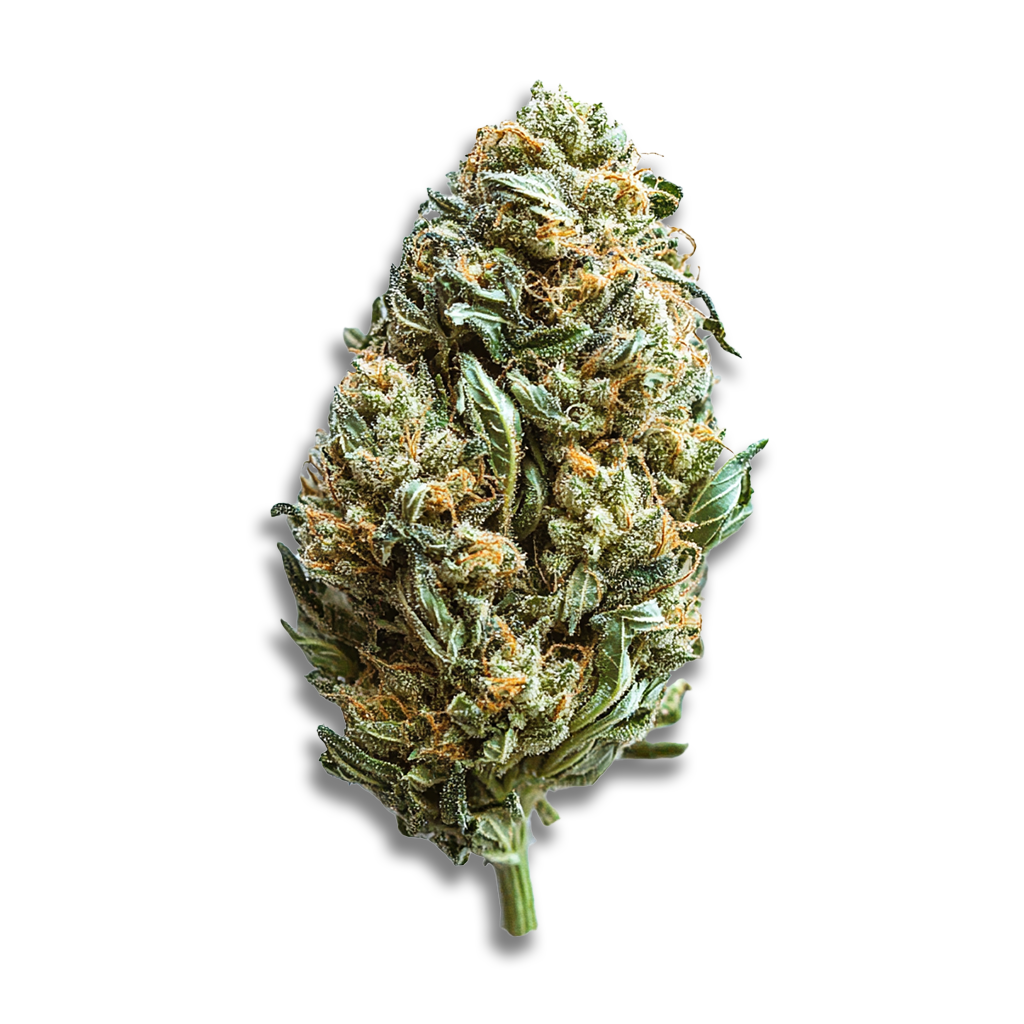 BOTANICS Tonic Fuel 22/1: Gary Payton
