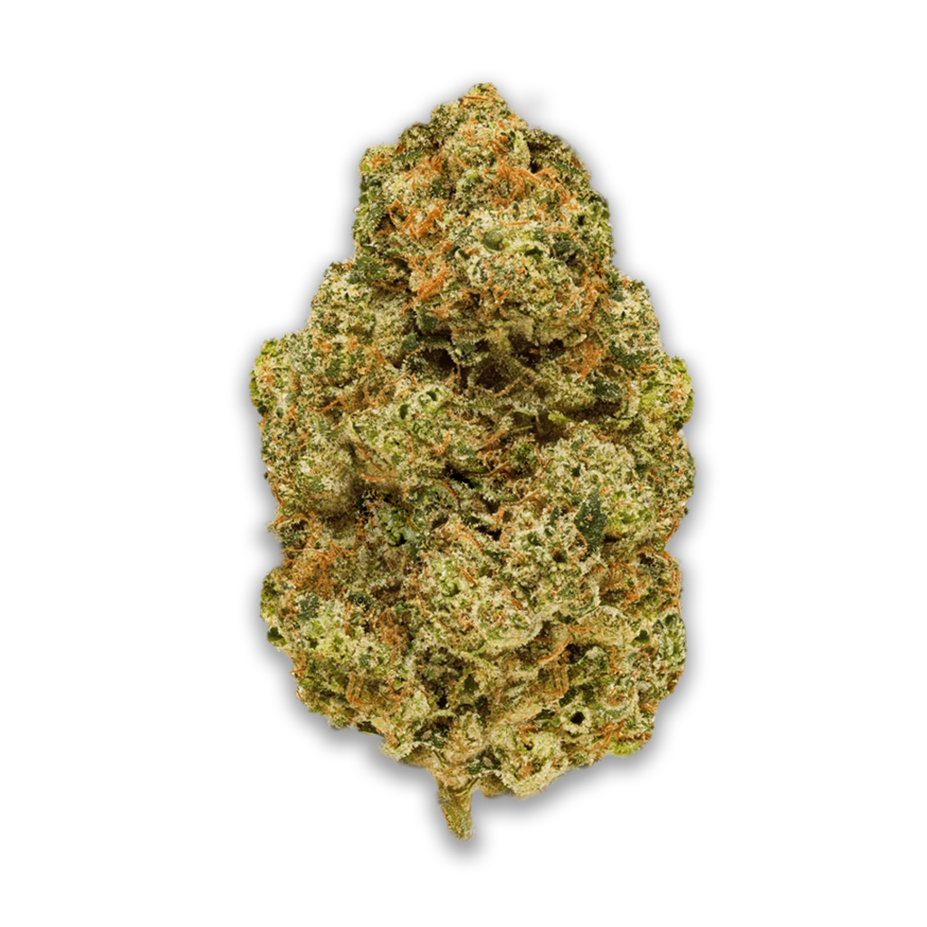 Pedanios 26/1 EHD-CA: Electric Honeydew