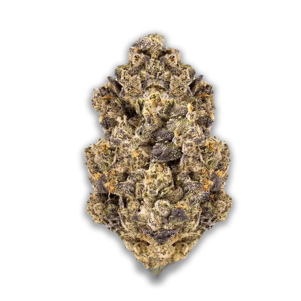 Remexian 24/1 CKE FLV: Flawless Victory