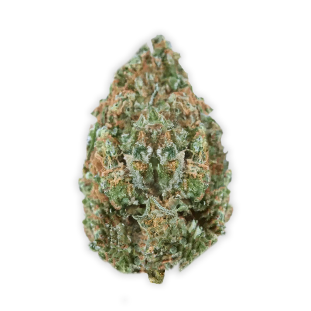 Remexian 24/1 HMA PYW: Peyote WiFi